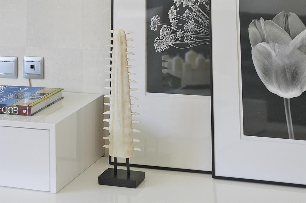 Iloftmalaga Ciudad De La Justiciaアパートメント 部屋 写真